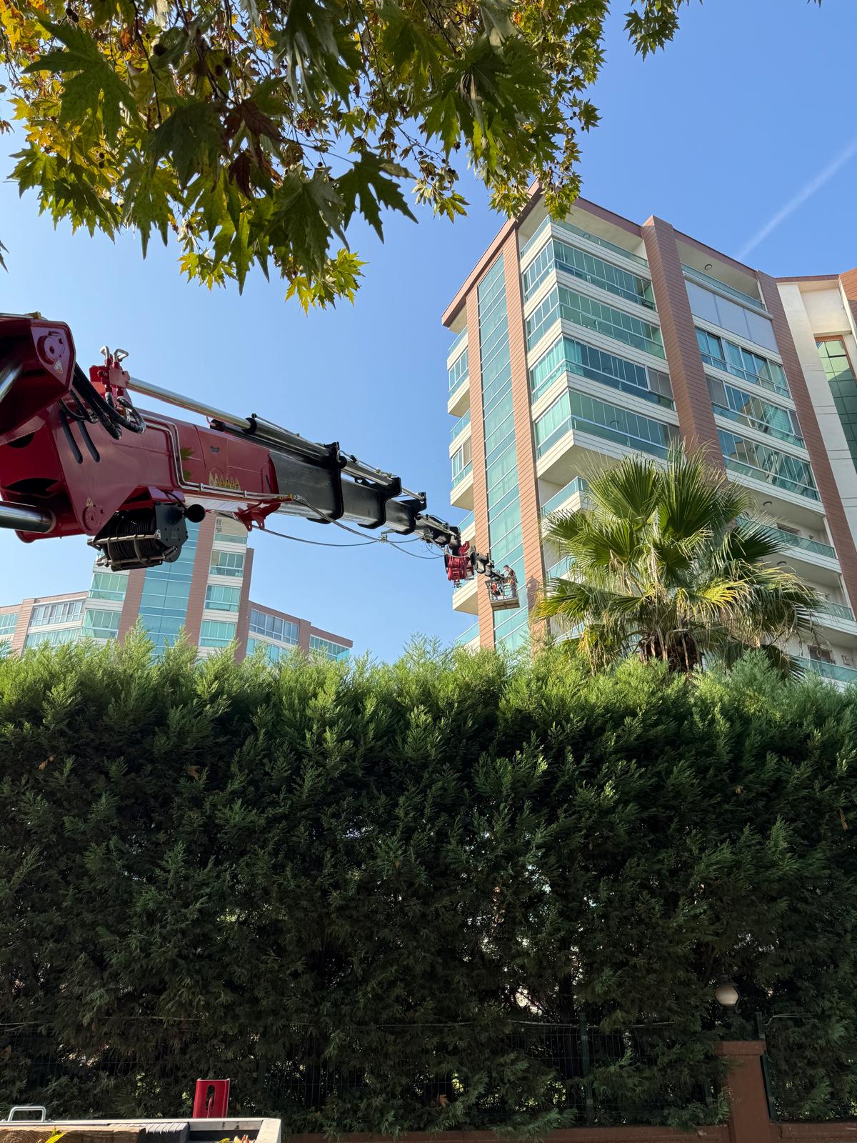 WhatsApp Image 2025-10-20 at 16.04.27 (5)